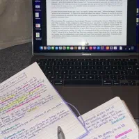 سئو کار سایت