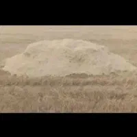 ۲باک کاه فروش