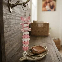 جاسوئیچی چارم‌بگ آویز جاکلیدی
