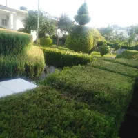 خدمات باغبانی و طراحی فضای سبز