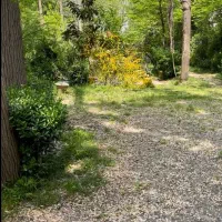 به یک نیروی سالم و مسئولیت‌پذیر