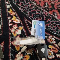 سورن دوگانه