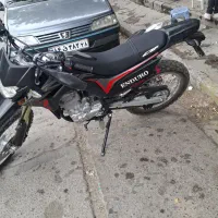 تریل باسل