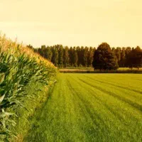 فروش زمین مزروعی