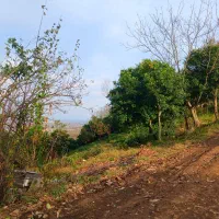 فروش زمین روستایی(برای اطلاع از قیمت تماس بگیرید)