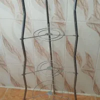 استند