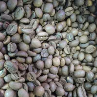 انواع قهوه دان و اسیاب شده