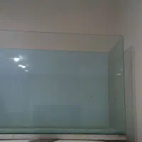 آکواریوم شرکتی