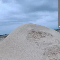 کاه گندم  و گلزا  خورد شده