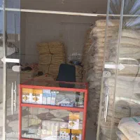 کولر آبی