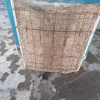 کولر ابی