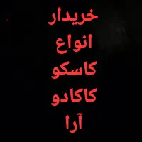 کاسکو صاف پرکن با کلام بی کلام درب منزل