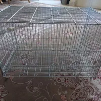 قفس پرنده