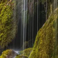 سیم کارت همراه اول