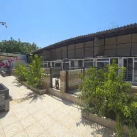 کارگر بسته بندی غذای سگ