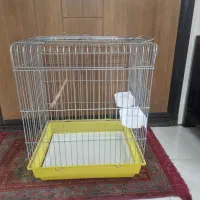 قفس طوطی