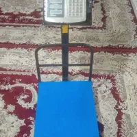 ترازو دیجیتالی 300 کیلویی