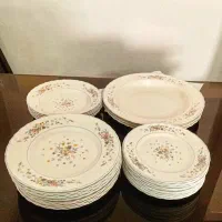 ارکوپال ویکتوریا پلوخوری