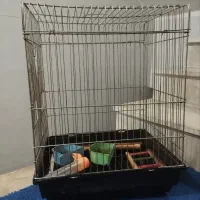 قفس پرنده