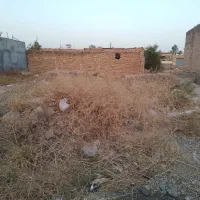 زمین-مسکونی-گتوند-سه-محل