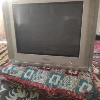 تلویزیون