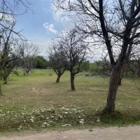 1200-متر-باغچه-الهیه