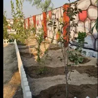 باغچه 225متری شهرکی در شهریار