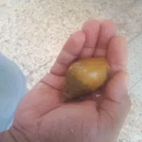 حلزون ارایشی