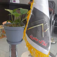 مغازه احتشامیه گاوخانه
