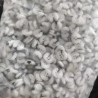 مارک لباس  ،نواری و دکمه