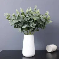بوته برگ اکالیپتوس گل گیاه در ختچه