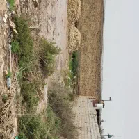 فروش یا معاوضه زمین