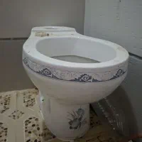 دسشویی،فرنگی