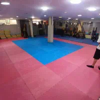 اجاره باشگاه  بدنسازی ۱۲۰ متری  ( تهرانپارس)
