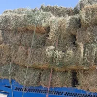 یونجه خالص وخشک