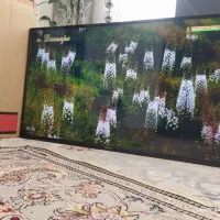 ال ای دی مجیک