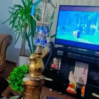 موتر