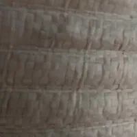 گونی آردی