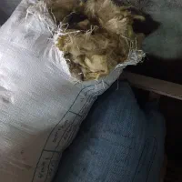 پشم گوسفندی چالدران