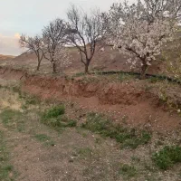 باغ در حسن ابدال