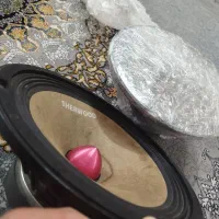 میدرنج اورجینال در حد نو