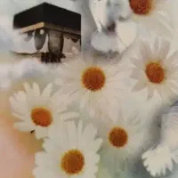 استخاره