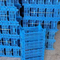 فروش سبد گیلاس هلو زرد الو