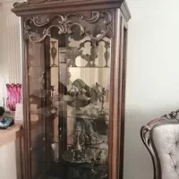 ویترین و تلوزیون