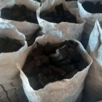 زغال|خدمات باغبانی و درختکاری|ضیاء آباد, |دیوار