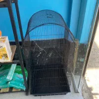 قفس مشکی
