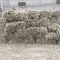 یونجه|لوازم جانبی حیوانات|همدان, |دیوار