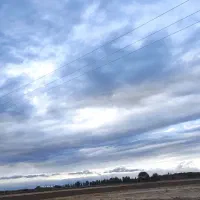 زمین ۵۰۰ متری اقبالیه چسب بافت