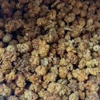توت مخصوص شیره(دوشاو)