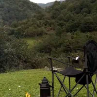 مال ارا اجاره مِم